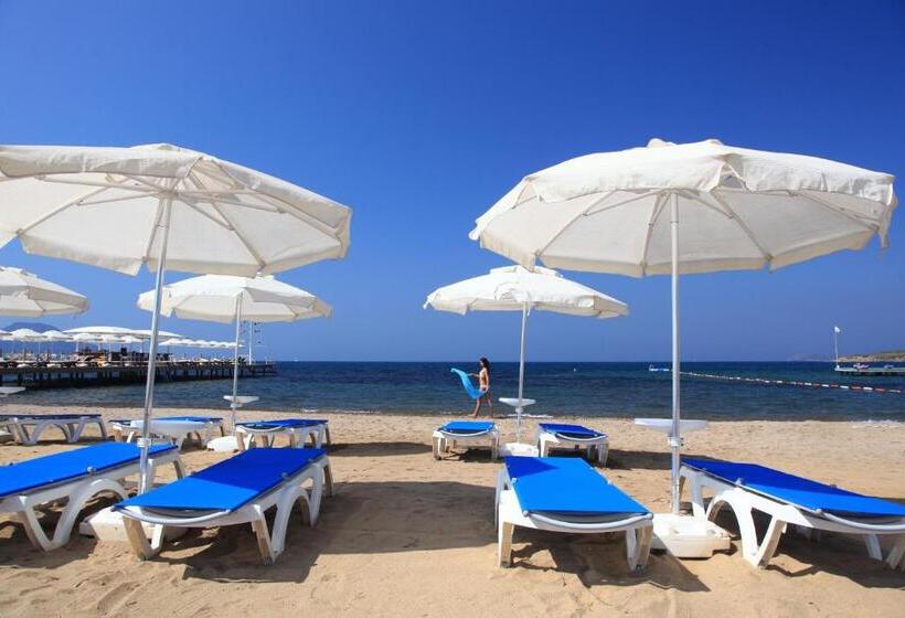 Отель Sundance Suites