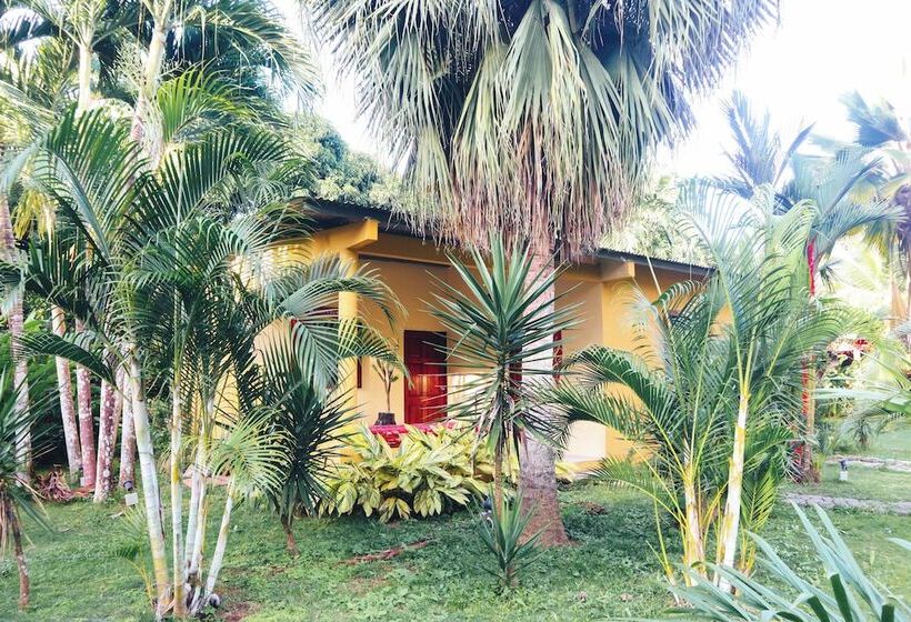 פנסיון El Ranchito Surfcamp