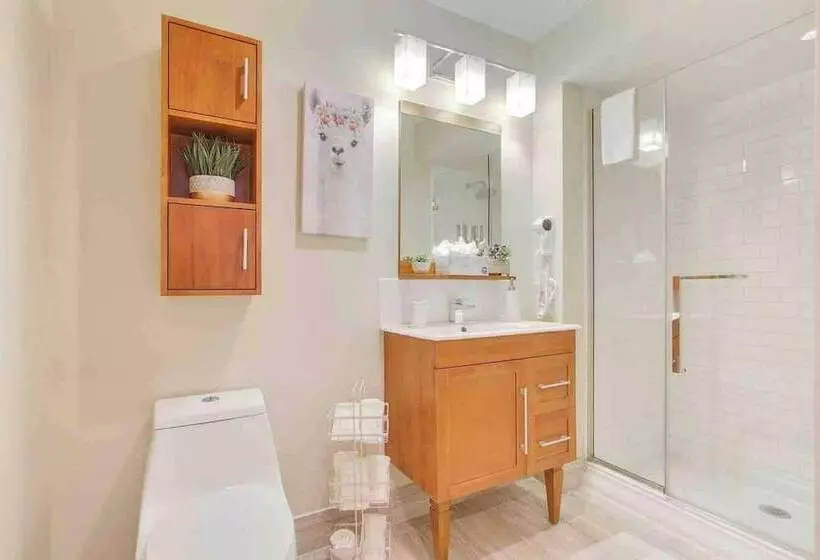 Charming Condos In Nola