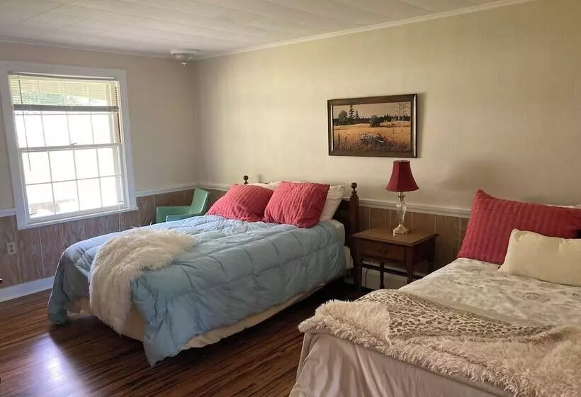 Motelli Plain Kate S Inc