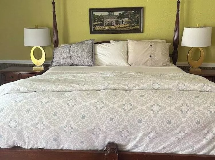 Motelli Plain Kate S Inc