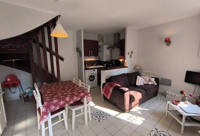 Dodo Et Tartines The11