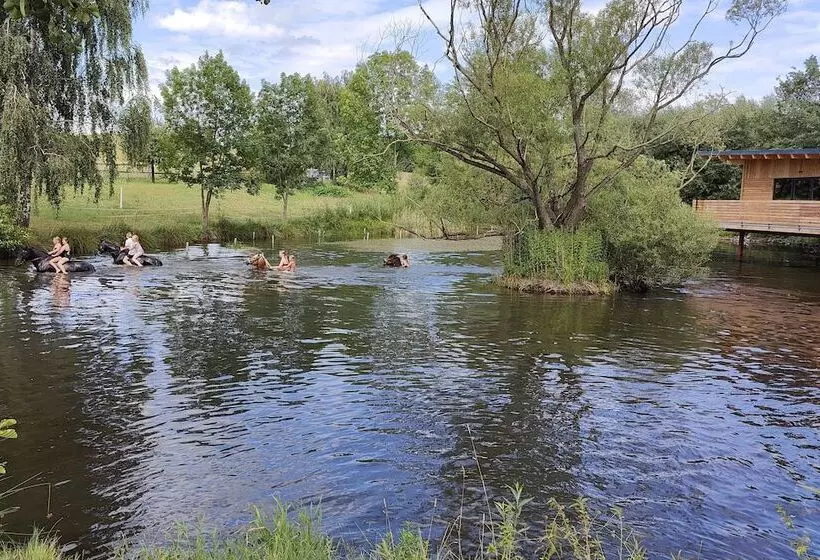 Tinyhousebeidresden2   Luxus Im Teich