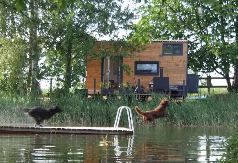 Tinyhousebeidresden2   Luxus Im Teich