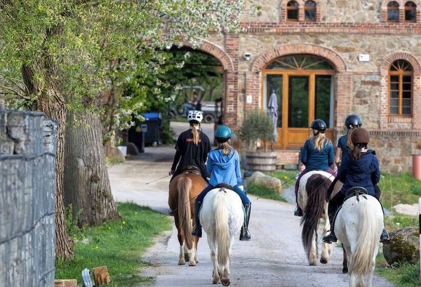 Tinyhousebeidresden2 Luxus Im Teich