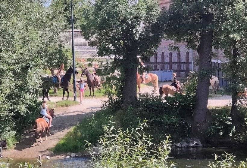 Tinyhousebeidresden2 Luxus Im Teich