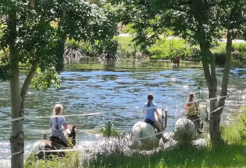 Tinyhousebeidresden2   Luxus Im Teich