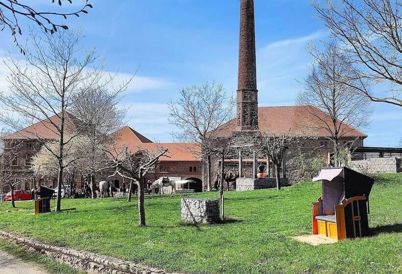 Tinyhousebeidresden2 Luxus Im Teich