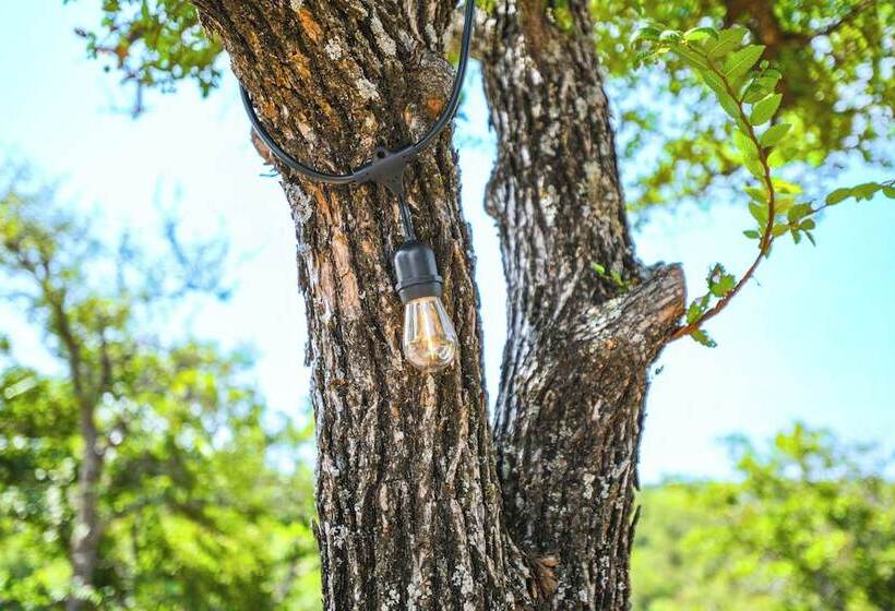 Whimsical Cabin W/ Grill < 4 Mi To Lake Brownwood!