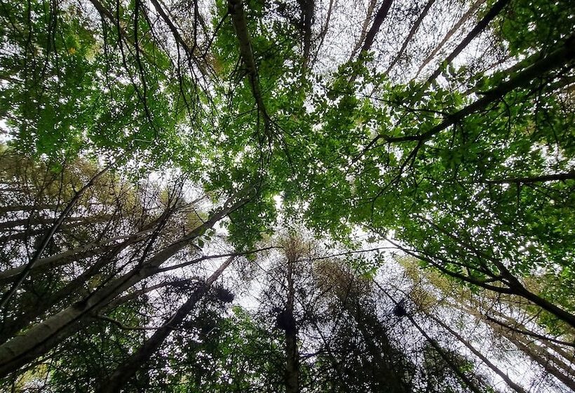 North Norfolk Glamping