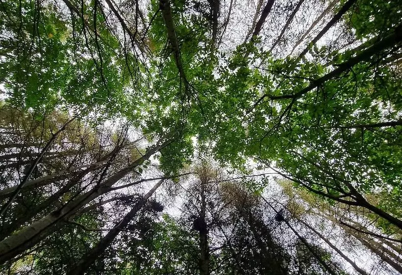 North Norfolk Glamping