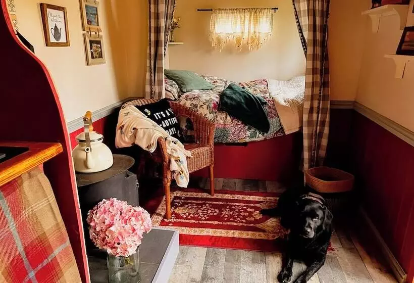 North Norfolk Glamping