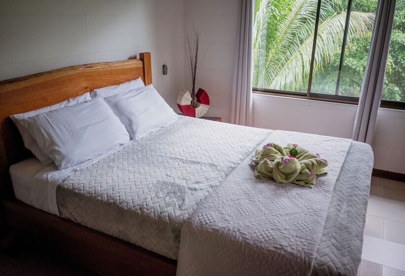 Aves De Tierras Altas