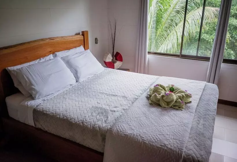 Aves De Tierras Altas