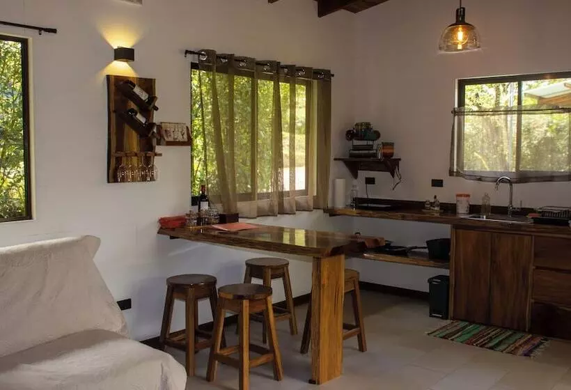 Aves De Tierras Altas