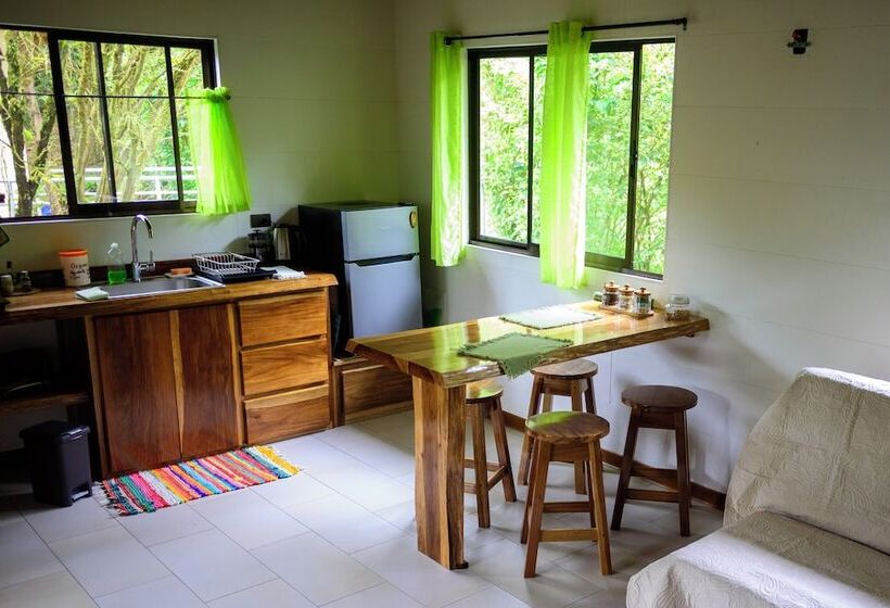 Aves De Tierras Altas