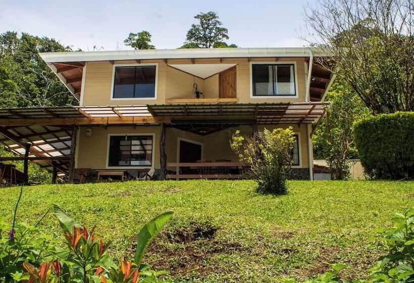 Aves De Tierras Altas