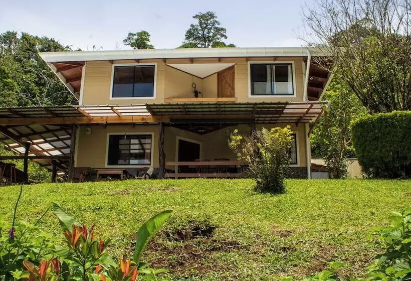 Aves De Tierras Altas