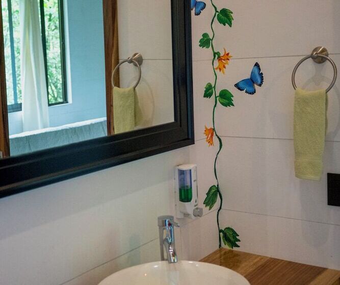 Aves De Tierras Altas