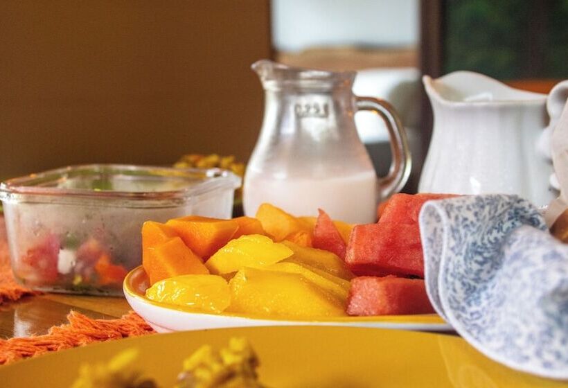 Aves De Tierras Altas