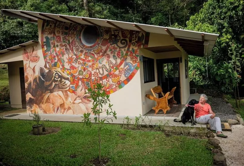 Aves De Tierras Altas