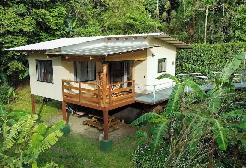 Aves De Tierras Altas