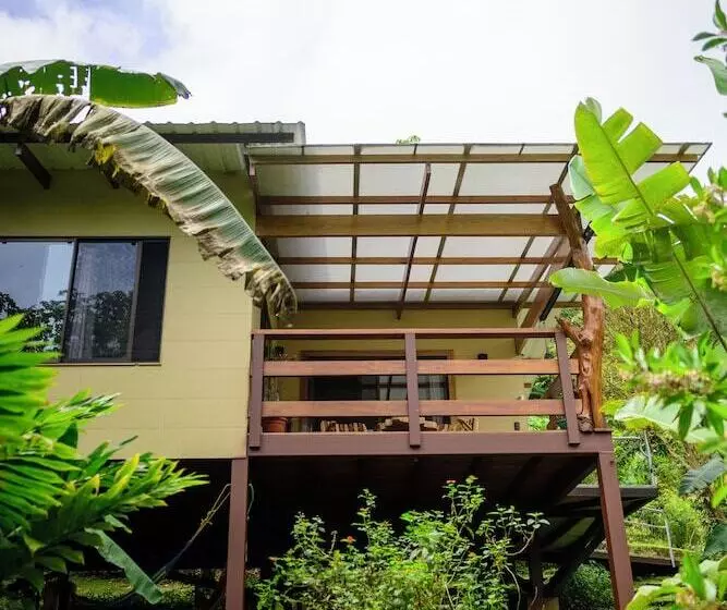 Aves De Tierras Altas