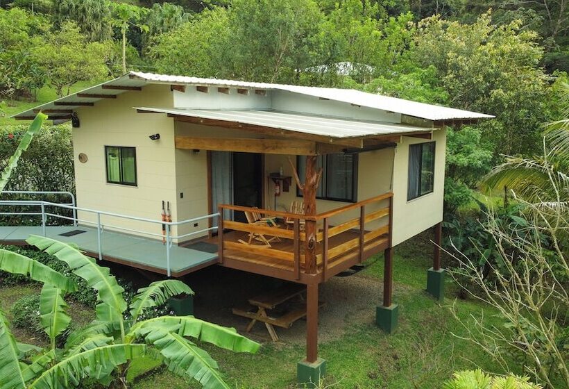 Aves De Tierras Altas