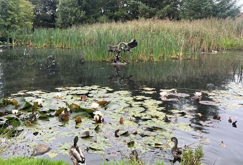 Hotel Charming 2 Bed Lodge In Newton Stewart