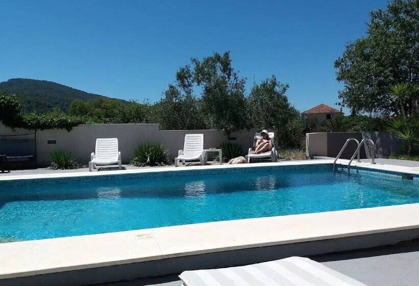 پانسیون Apartments Villa Dona