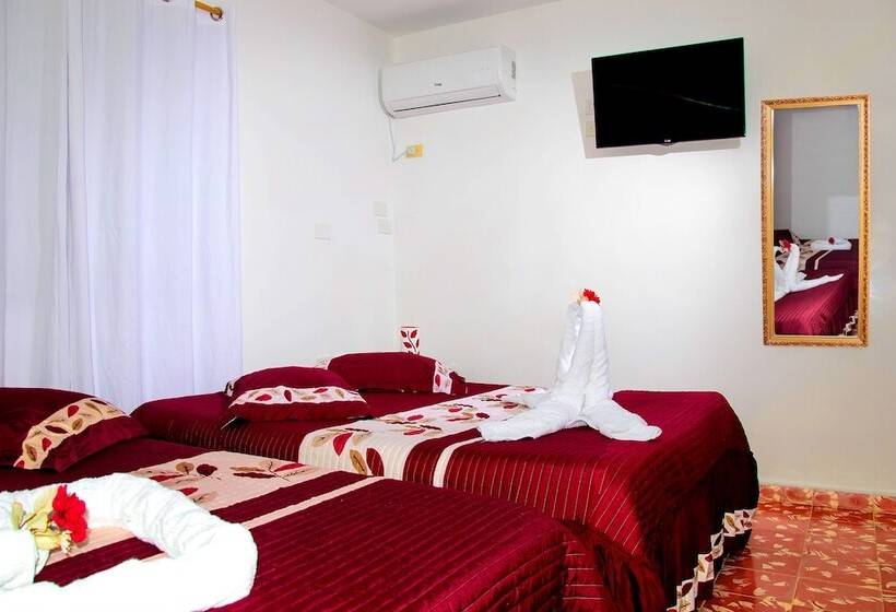 پانسیون Hostal Ciro Y Lourdes