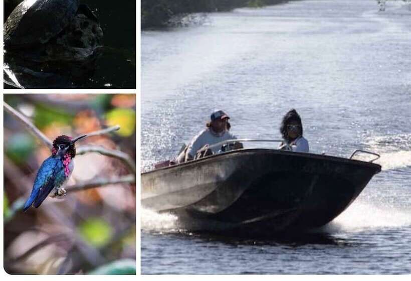 پانسیون Hostal Ciro Y Lourdes