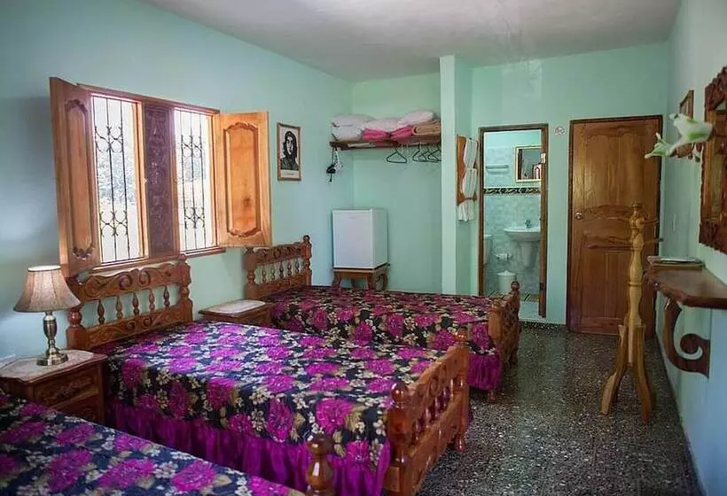 ペンション Hostal La Colonial Candelaria