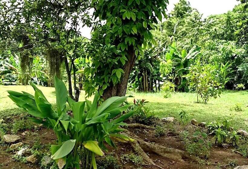 پانسیون Hostal La Colonial Candelaria