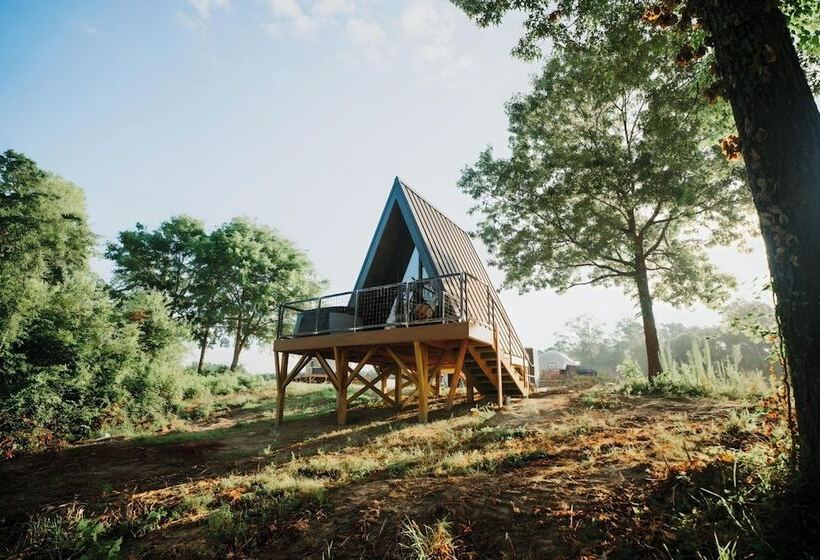 Starlight Haven Weiss Lake