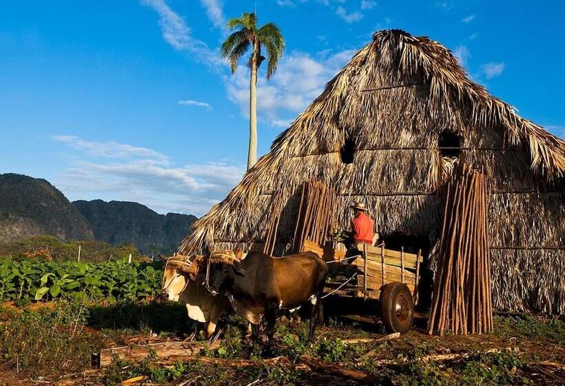 پانسیون Casa Las Tías El Papa