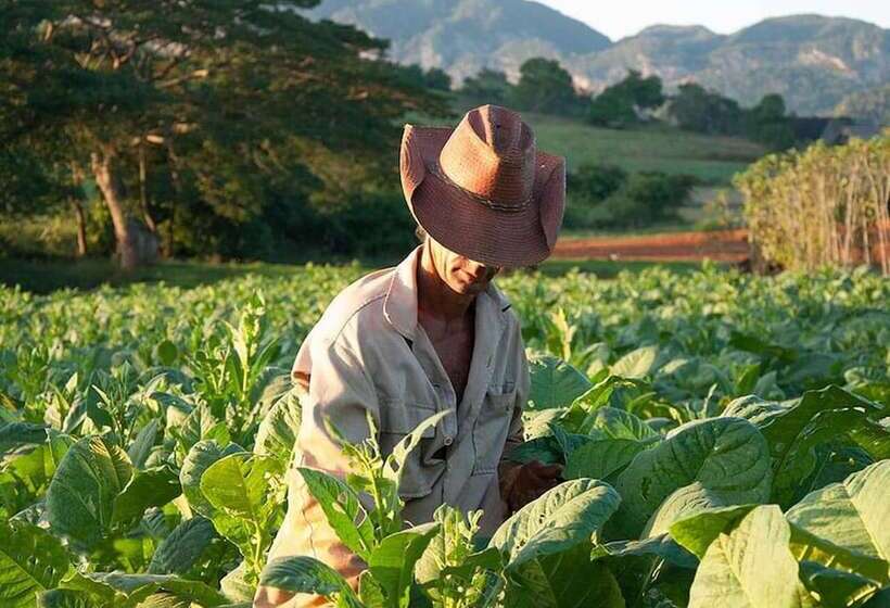 پانسیون Casa Las Tías El Papa