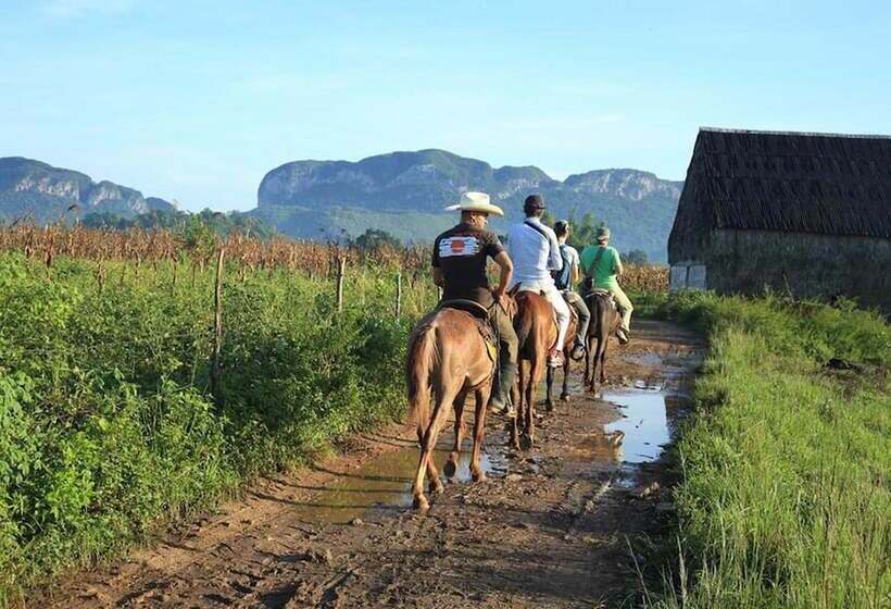 پانسیون Casa Las Tías El Papa