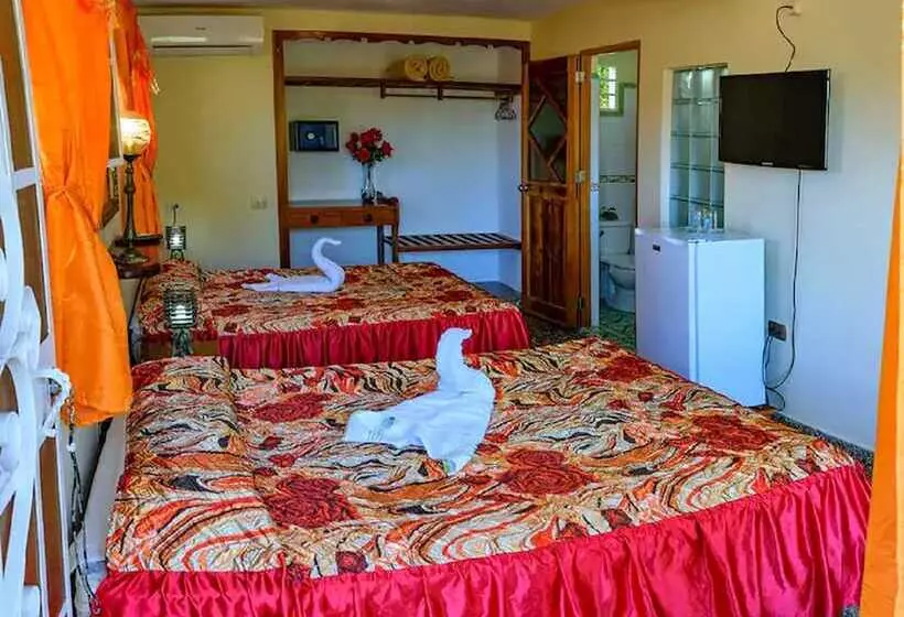 پانسیون Hostal Palmarito