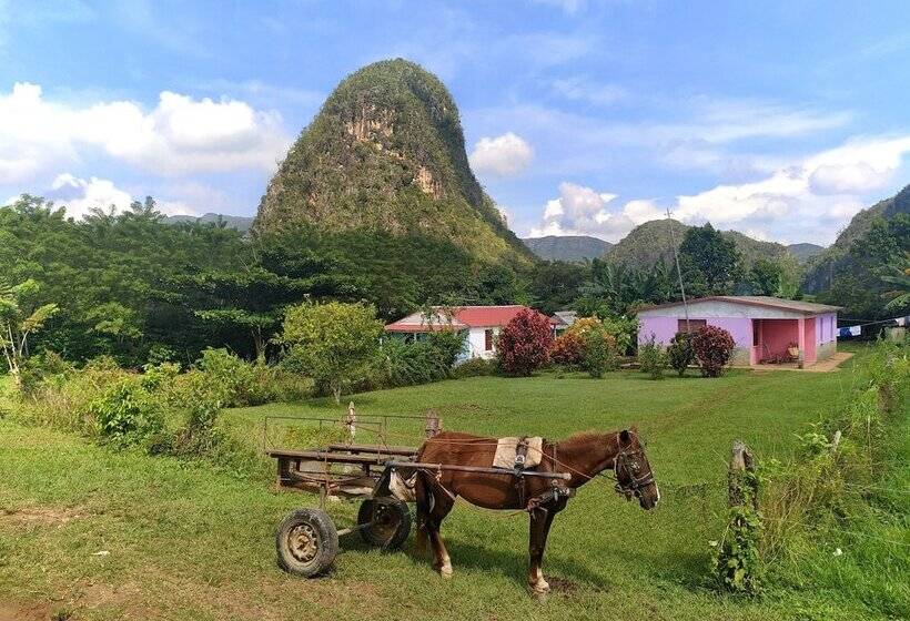 پانسیون Hostal Palmarito