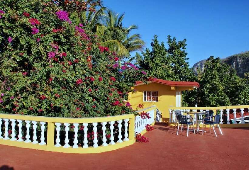 پانسیون Hostal Palmarito