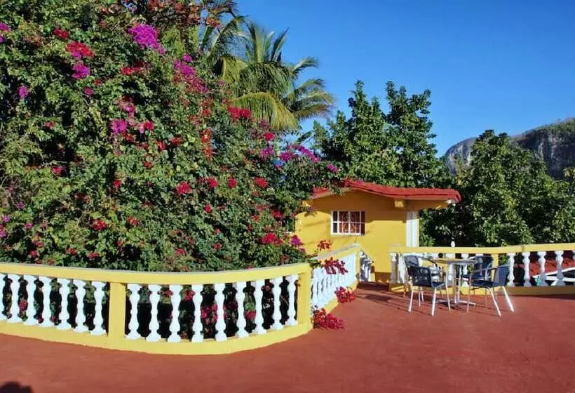 پانسیون Hostal Palmarito