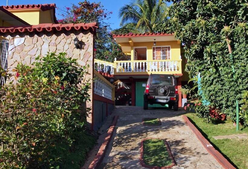 پانسیون Hostal Palmarito