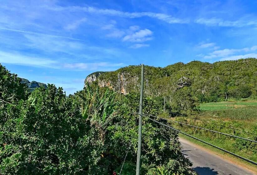 پانسیون Hostal Palmarito