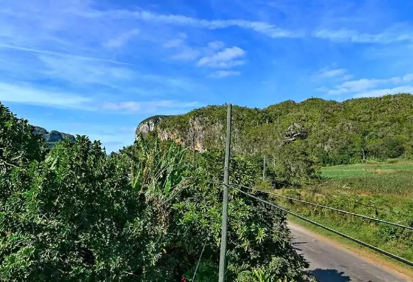 پانسیون Hostal Palmarito