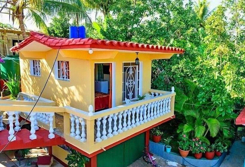 پانسیون Hostal Palmarito