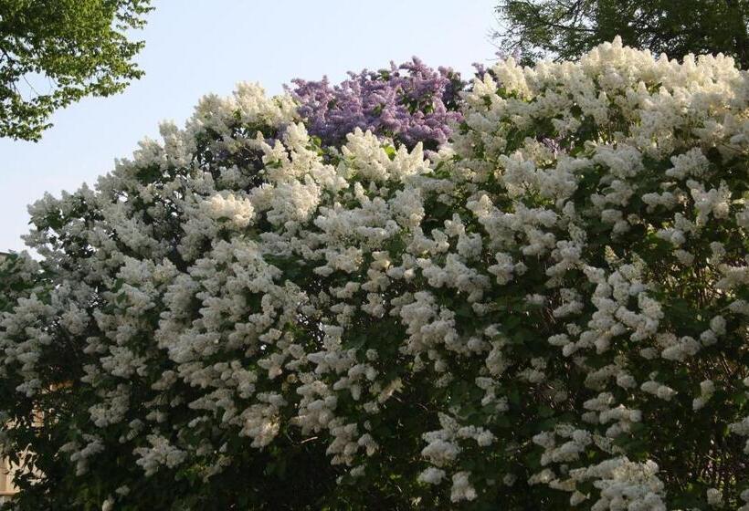 مبيت وإفطار Gästhem Kronan