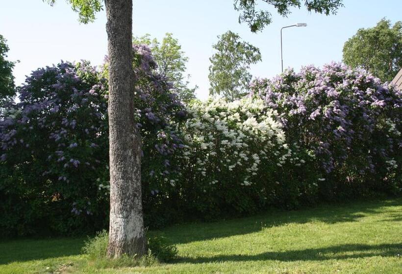 مبيت وإفطار Gästhem Kronan