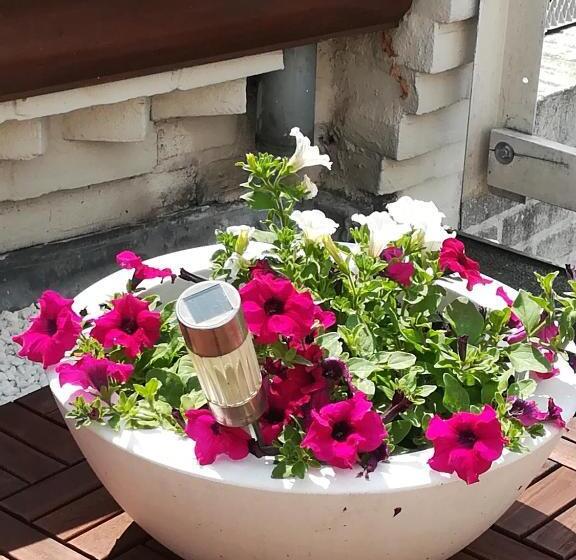 Bed and Breakfast Halte 46 Weert