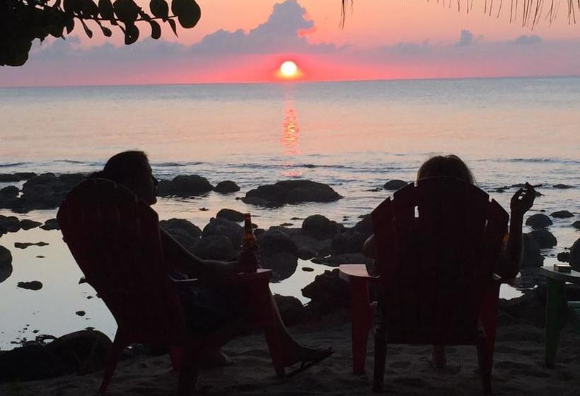 هتل La Princesa De La Isla